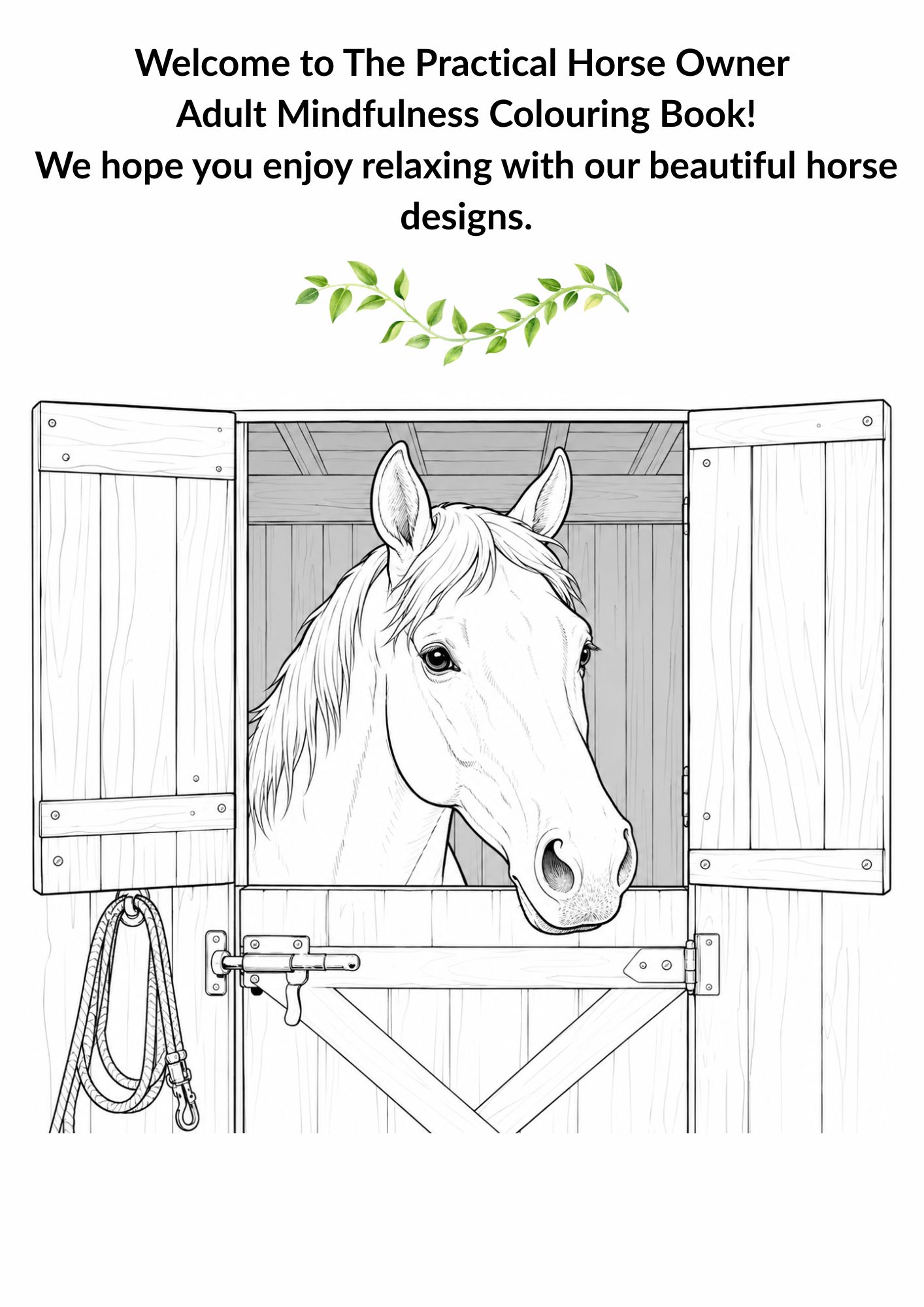 Adult Mindfulness Colouring Book - Image 3