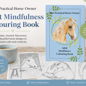 Adult Mindfulness Colouring Book